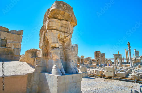 The statues in Persepolis, Iran photo