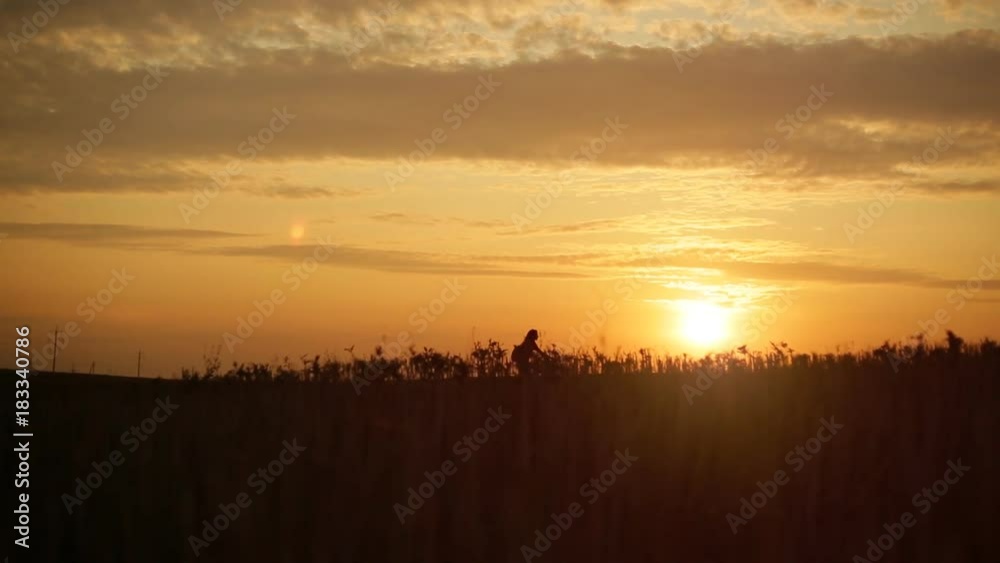 A girl is riding down a bicycle across the field at sunset sky background. Silhouette of anonymous caucasian girl. Real time video A girl is riding down a bicycle across the field at sunset sky background. Silhouette of anonymous caucasian girl. Real time video