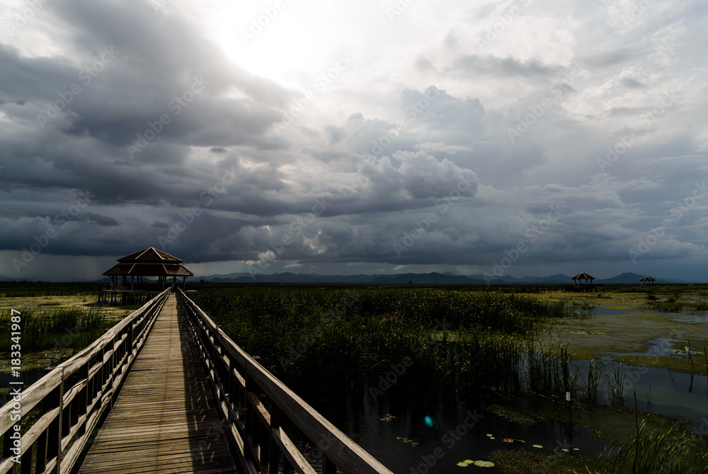 Stormy Weather at Freshwater Marsh
