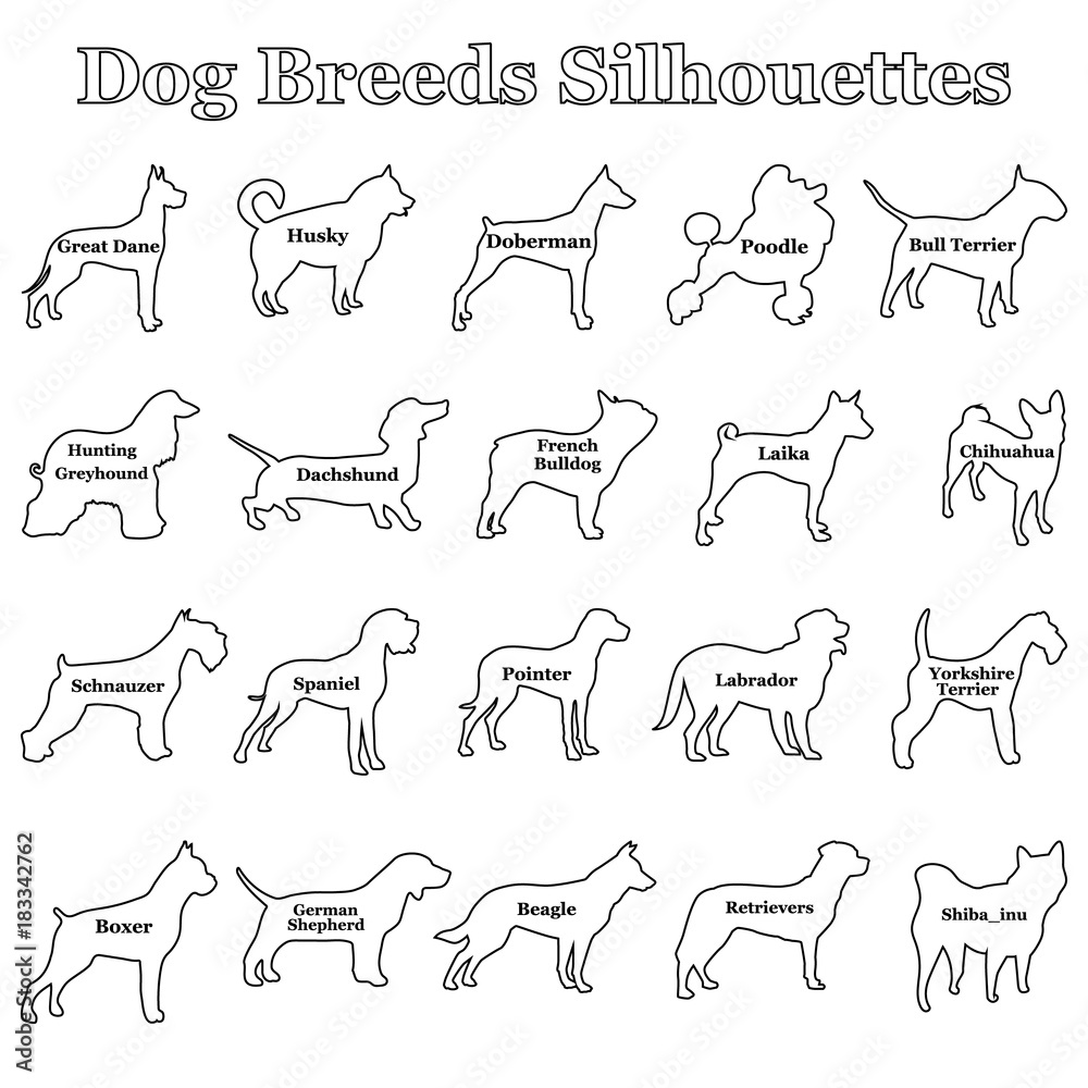 Set of dogs silhouettes of black dogs Set of dogs silhouettes of black dogs