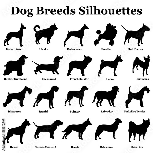 Set of dogs silhouettes of black dogs