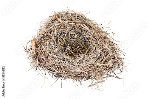Empty Carolina Wren bird nest isolated over a white background. Copy space available.