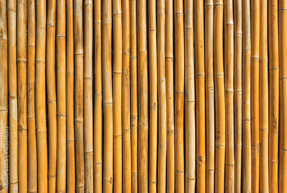 Bamboo wall background foto de Stock | Adobe Stock