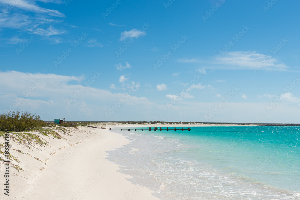 Stunning beach in the Carribean Sea