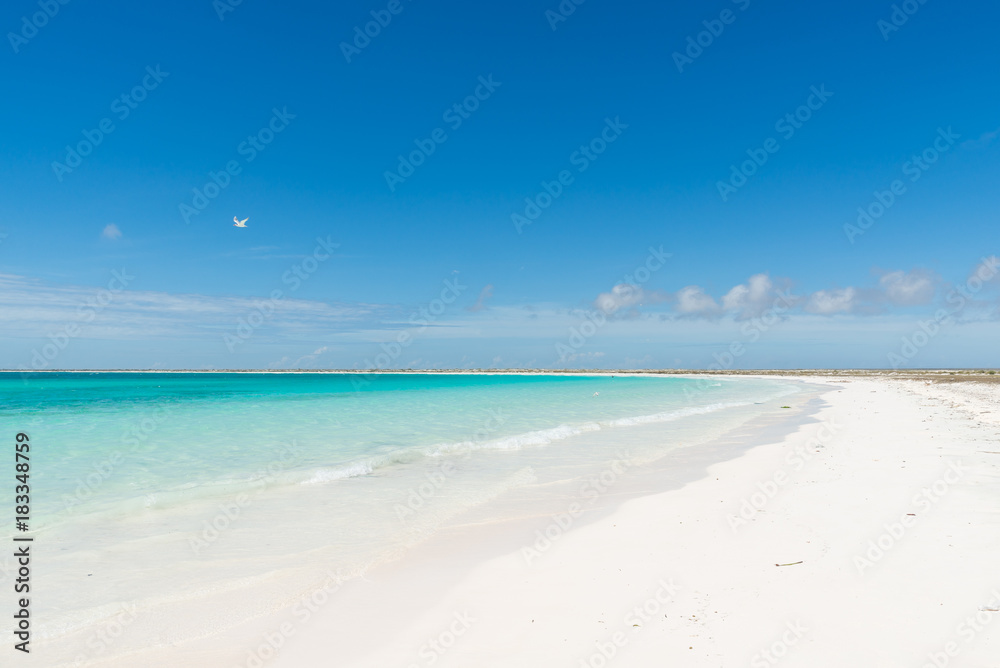 Beautiful shoreline with white sand and turquoise water in the Caribbean Sea. La Tortuga (Turtle) island, Venezuela.