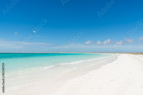 Fototapeta Naklejka Na Ścianę i Meble -  Beautiful shoreline with white sand and turquoise water in the Caribbean Sea. La Tortuga (Turtle) island, Venezuela.