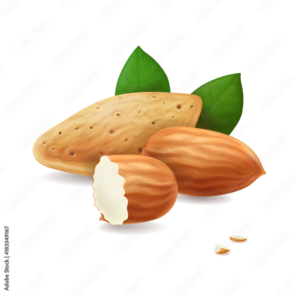 Almonds. Kernels and leaves realistic. Vector illustration.