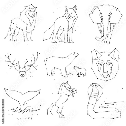 Collection of hand draw animals constellation on dark sky. Sketched wild animals with line and stars, horoscope style. Doodle constellation animals for cards, elephant, owl, wolf and other wild