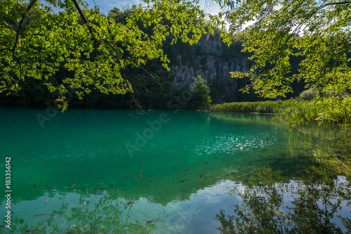 Plitvice Lakes National Park  Croatia  Balkan Peninsula  Europe