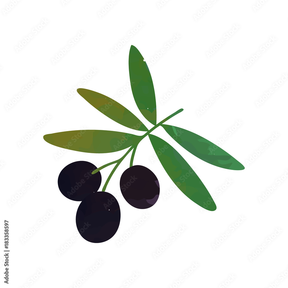 Colored isolated icon of branch with black olives and green leaves. Natural cooking ingredient. Healthy food. Isolated flat vector.