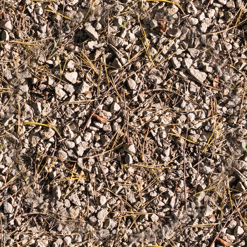 rocky ground texture at autumn. background.