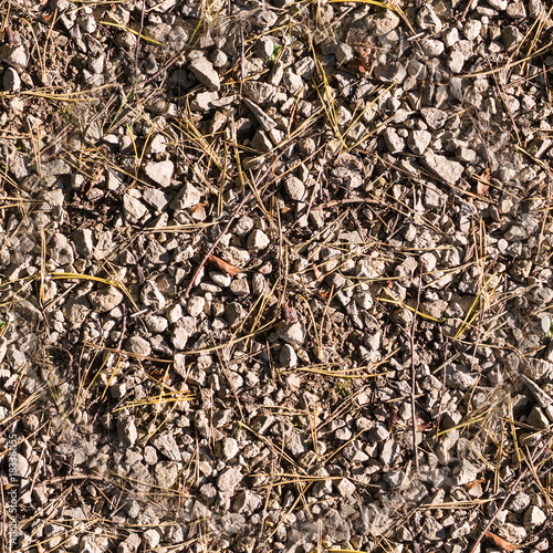rocky ground texture at autumn. background.
