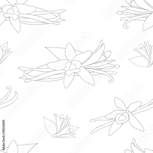 Vanilla Planifolia Flower o...