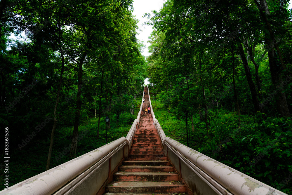 Obraz premium Staircase to Buddha