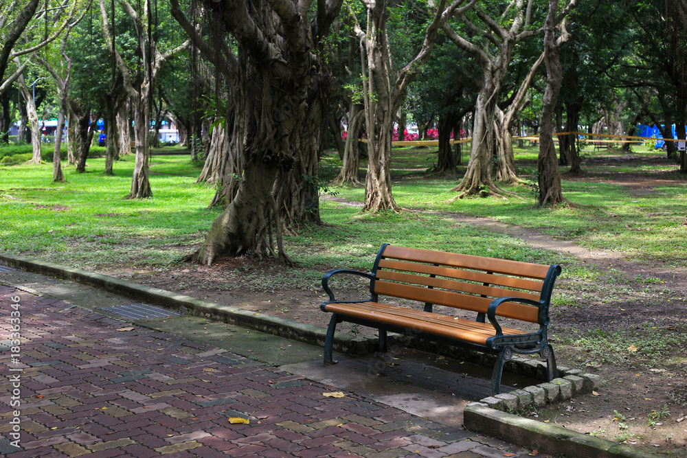 Single bench in a park
