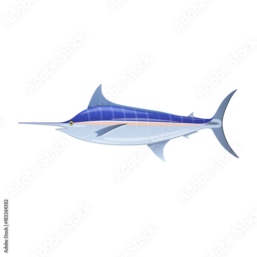 Sailfish blue marlin, swordfish with long thin nose.