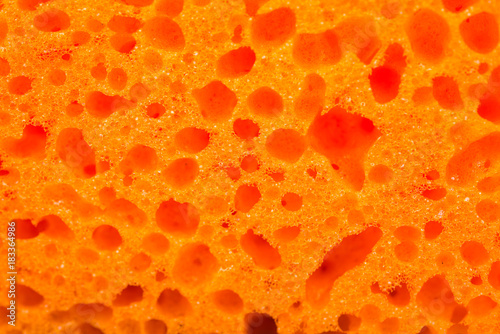 texture of a kitchen sponge close-up