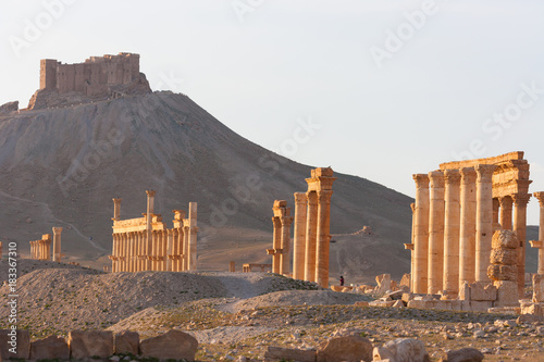 The ancient ruins of Palmyra, Syria photo