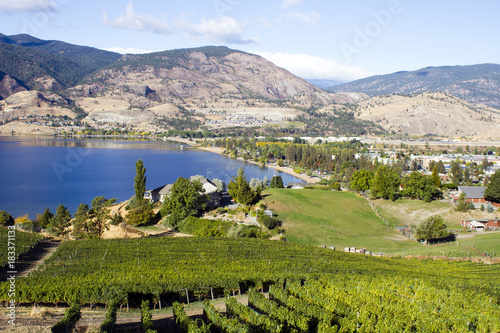 Skaha Lake Vineyard Penticton photo