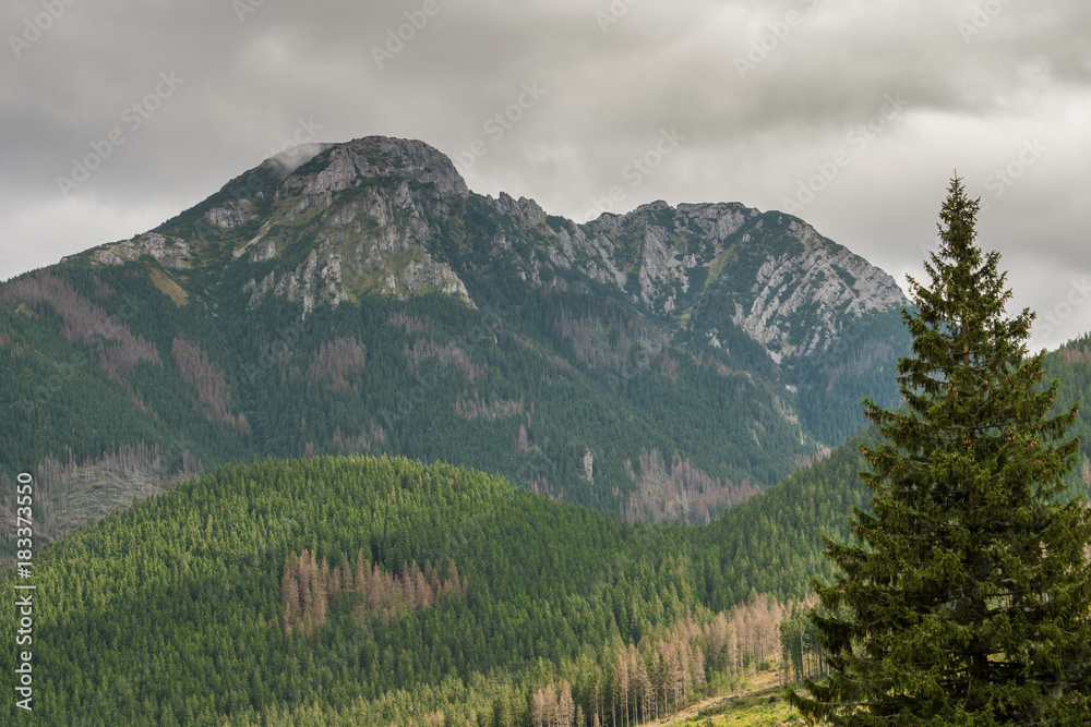 ZAKOPANE ZAKOPANE