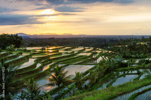 View to the Jatiluwih rice terraces at sunrise on Bali island, Indonesia