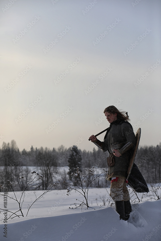 Defender the young warrior in mail armor