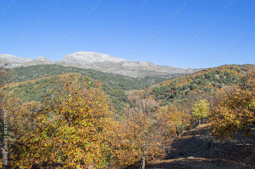 Panorámica del Valle del Genal / Overview of the Genal Valley. Málaga