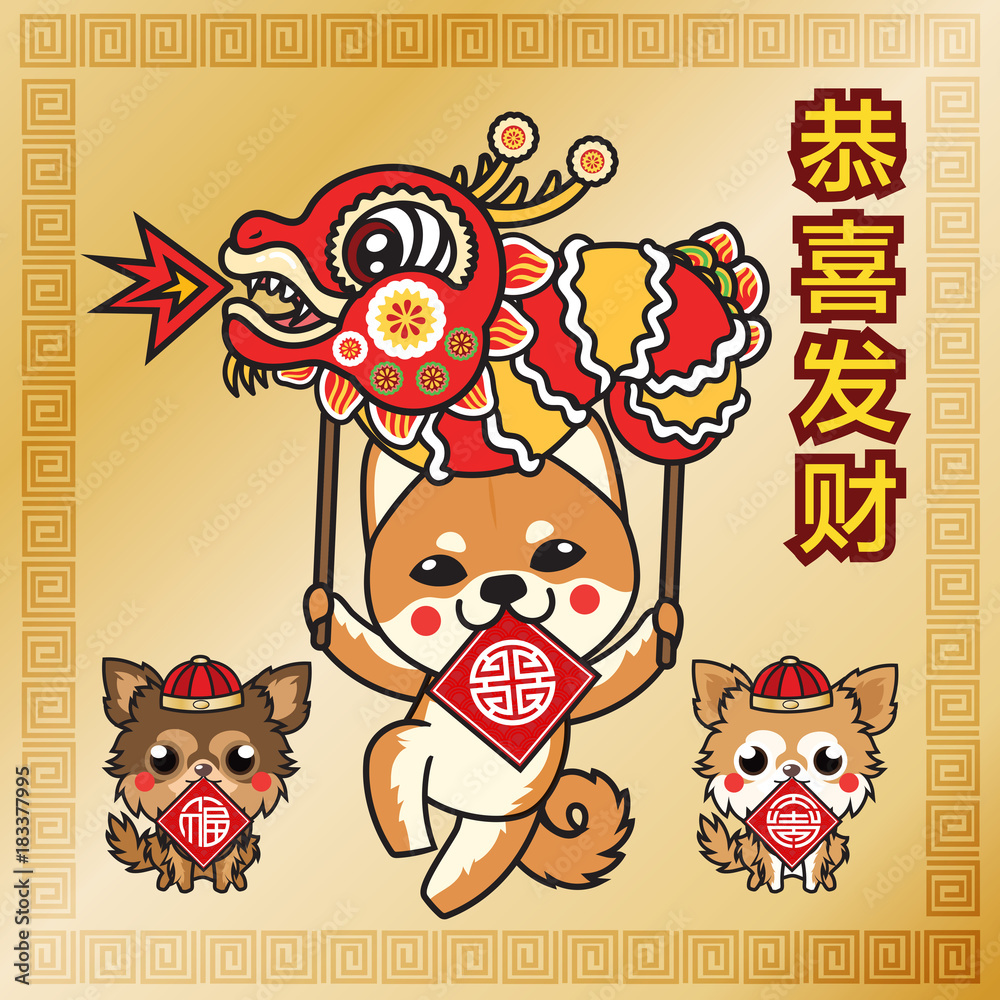 Chinba holding chinese dragon and Chihuahua dogs Celebrate Happy Chinese new year  , Dog year  ,gold theme background 