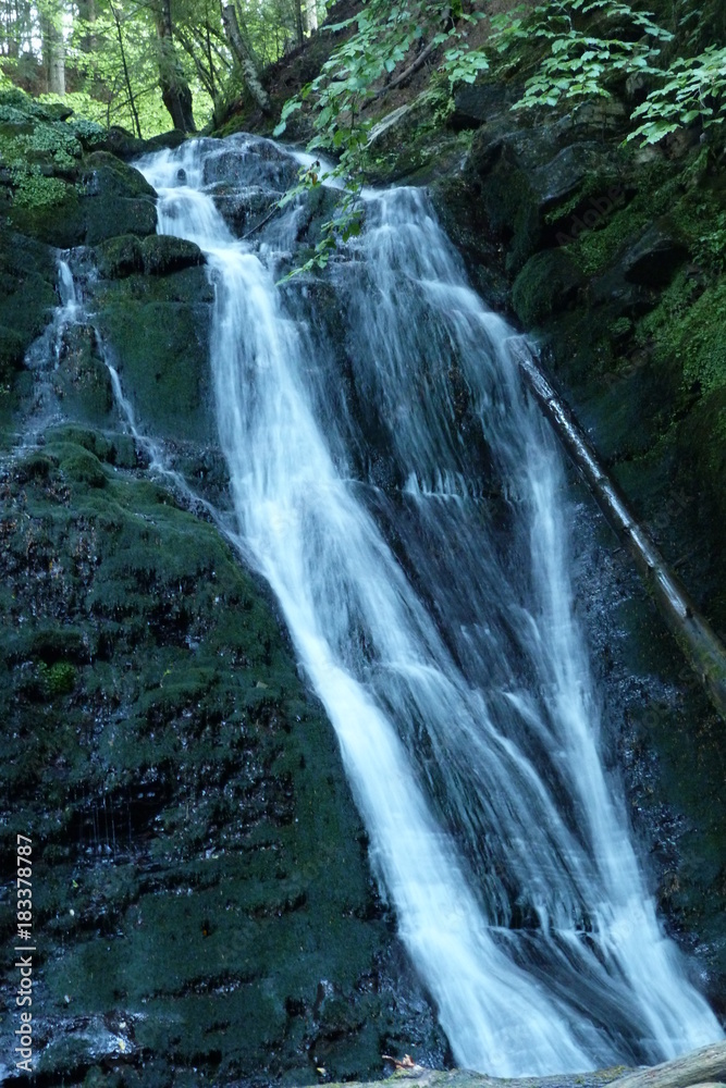 Waterfall of a mountain river in a thicket of mountain forest. Waterfall of a mountain river in a thicket of mountain forest.