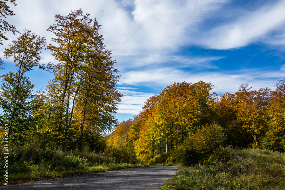 Road near lake Solinskie in autumn in Solina, Bieszczady, Poland