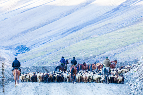 Barskoon (Arabel) Syrts at Issyk Kul Region photo