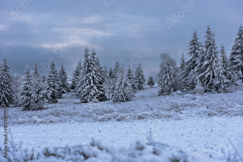 Beautiful winter landscape with snow covered trees © salajean