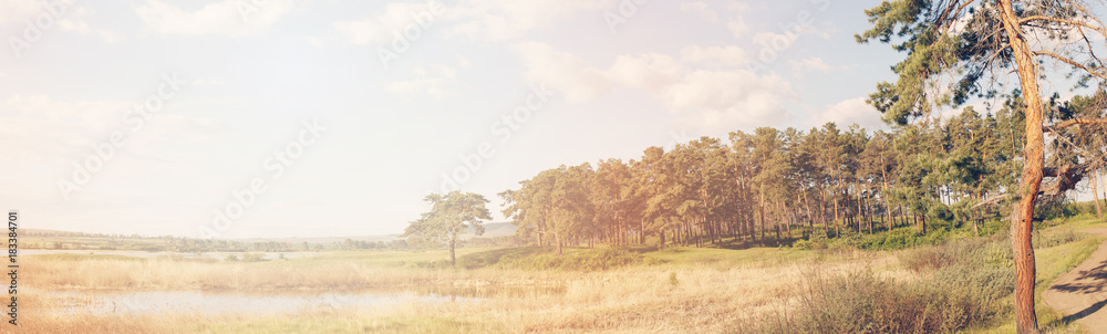 Fototapeta premium Sunny landscape 