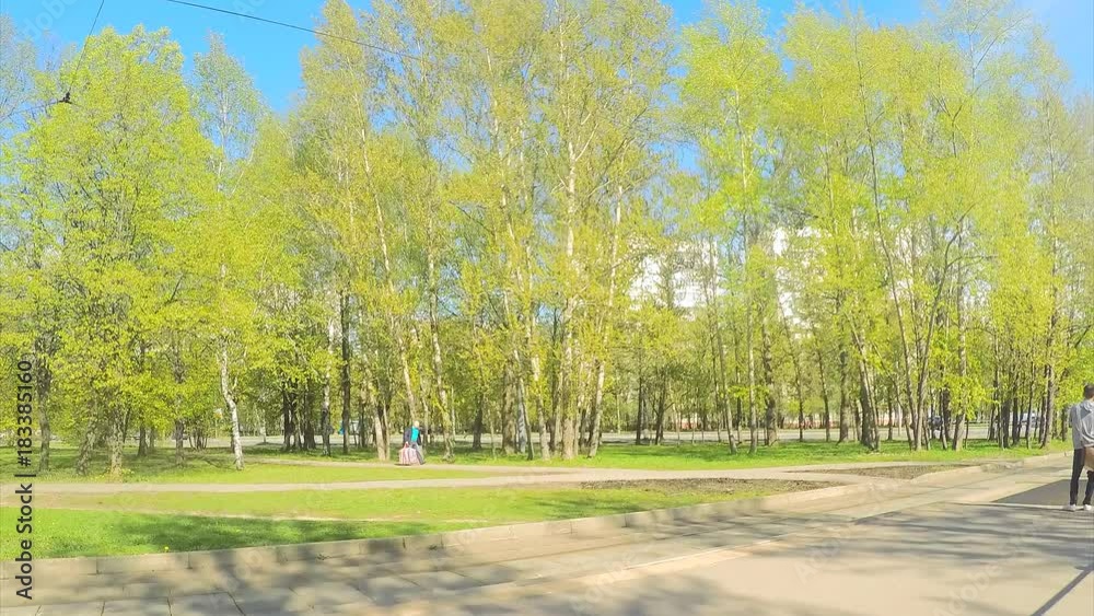 trams at a tram stop on a spring day timelapse trams at a tram stop on a spring day timelapse