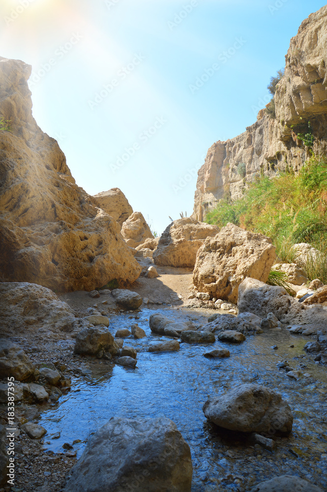 Waterfall in rocks Ein Gedi. Israel