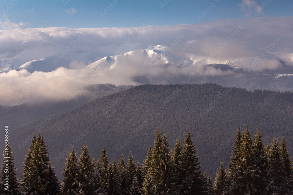 Foggy winter landscape in the mountains.Picturesque and gorgeous wintry scene. View of forest hills covered by snow  and hoarfrost.