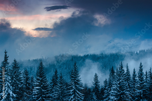 Fototapeta Naklejka Na Ścianę i Meble -  Landscape of dramatic sunset in the winter mountain. Wooded hills covered with snow, fog rising from valleys, colorful cloudy sky - this is impressive picture.
