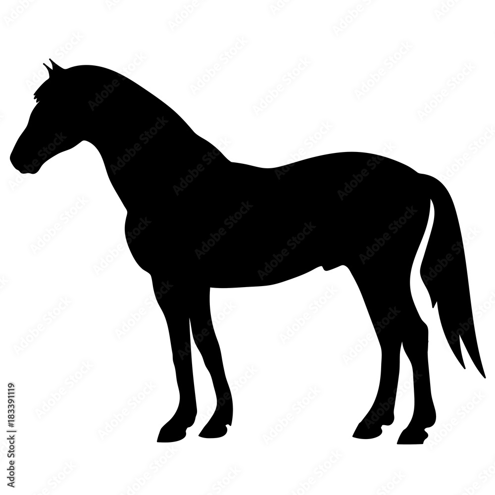 rearing up horse fine vector silhouette and outline - graceful black stallions rearing up horse fine vector silhouette and outline - graceful black stallions