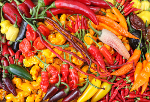 Hot peppers