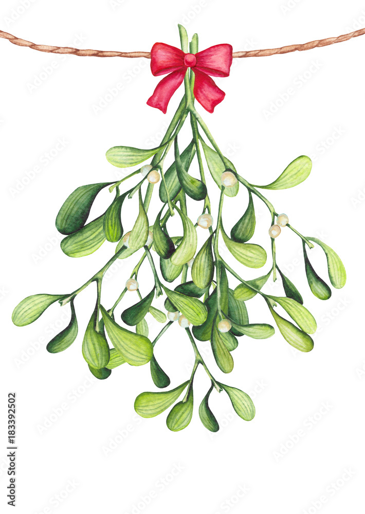 Watercolor Bouquet with Mistletoe and Bow. Christmas Illustration Watercolor Bouquet with Mistletoe and Bow. Christmas Illustration