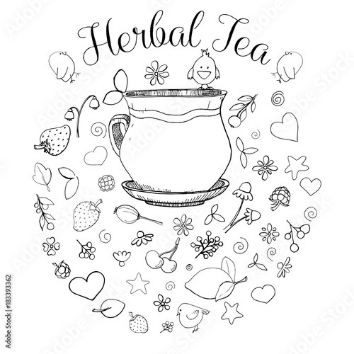 Hand drawn a cup, different herbs, plants, berries and birds. The inscription is herbal tea. Vector illustration of a sketch style.