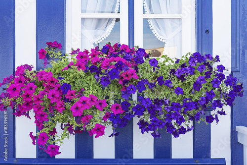 Window with colorful flower