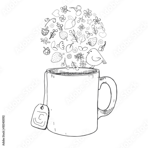 Hand drawn a cup, different herbs, plants, berries and birds. Vector illustration of a sketch style.