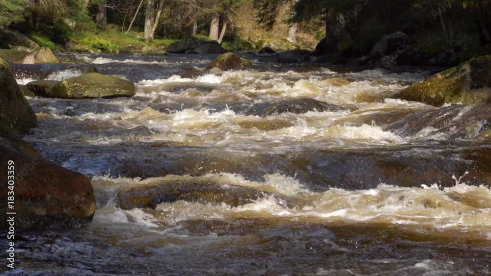 Wild mountain river in sunlight Wild mountain river in sunlight