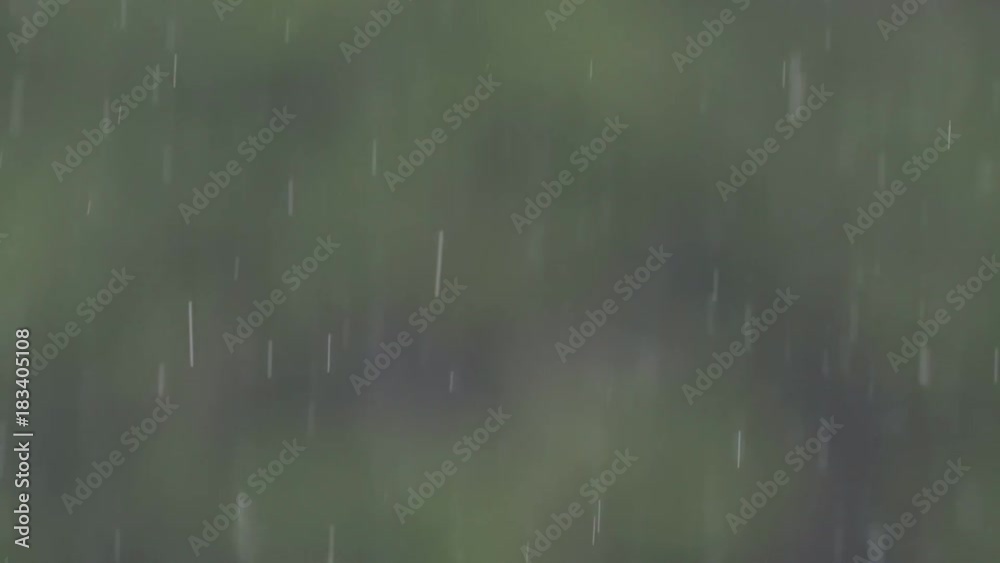 Heavy rain in forest Heavy rain in forest