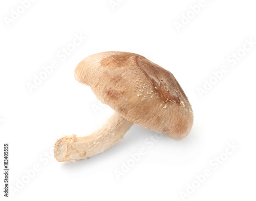 Fresh shiitake mushroom on white background