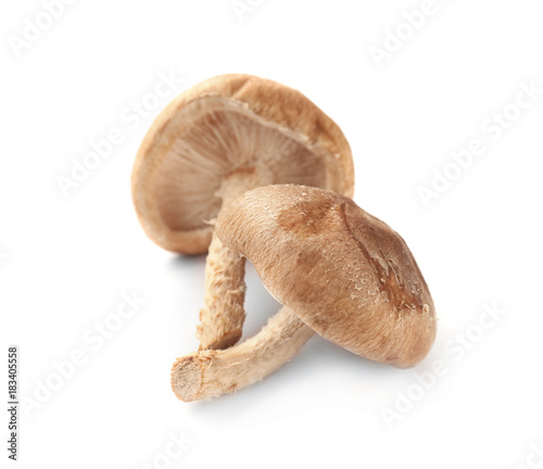 Fresh shiitake mushrooms on white background