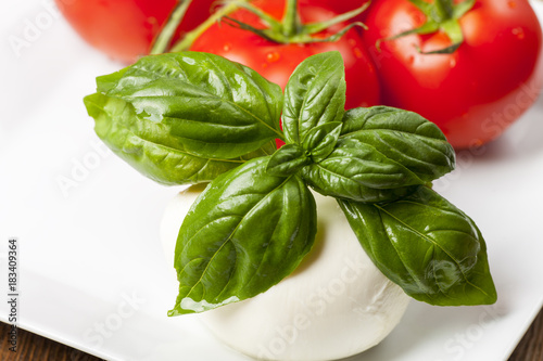 Mozzarella, Basilikum und Tomaten photo