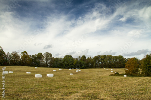 Hay Field