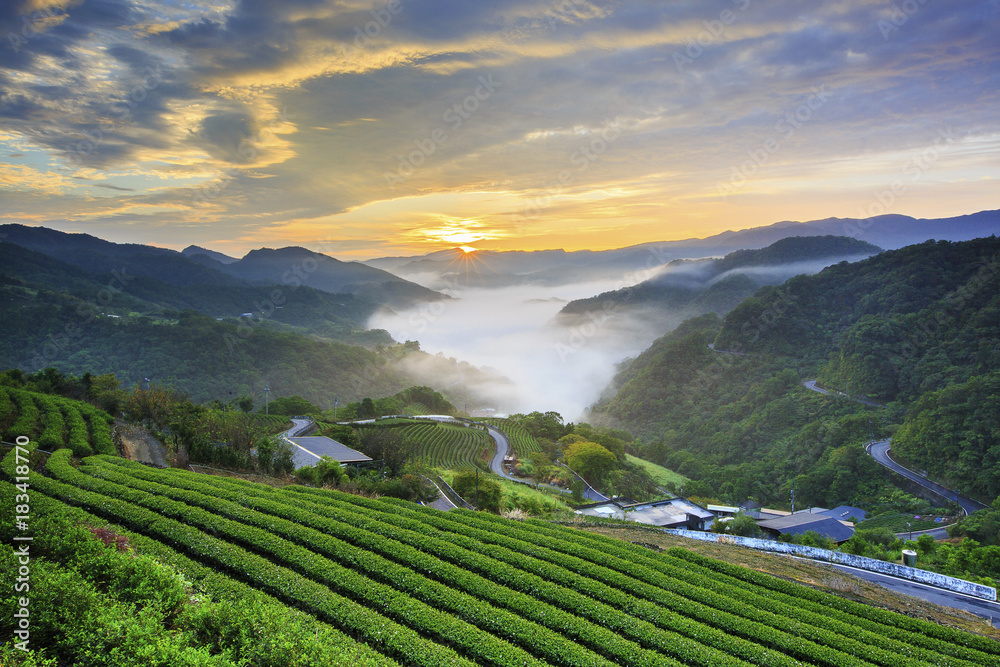 Beauty in Taiwan